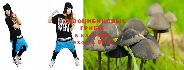 Альфа ПВП Нефтекумск
