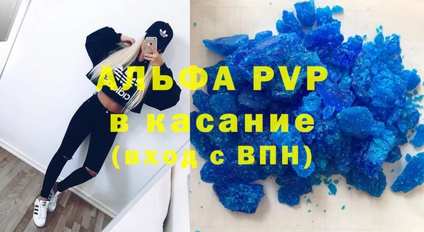 прущие крисы Надым