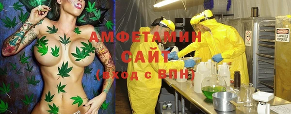 прущие крисы Надым