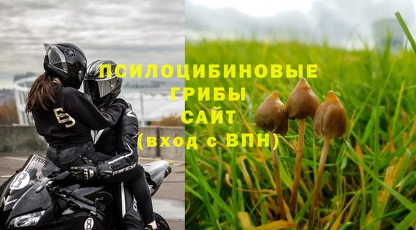 прущие крисы Надым