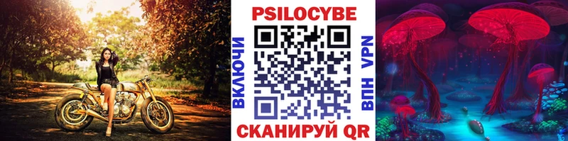 Галлюциногенные грибы Cubensis купить наркоту Новотроицк