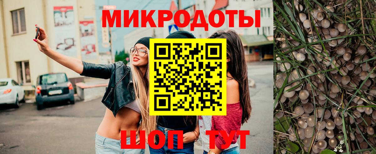 Псилоцибиновые грибы прущие грибы Новотроицк