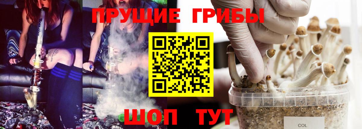 Новотроицк  Псилоцибиновые грибы Cubensis  Вход с VPN 