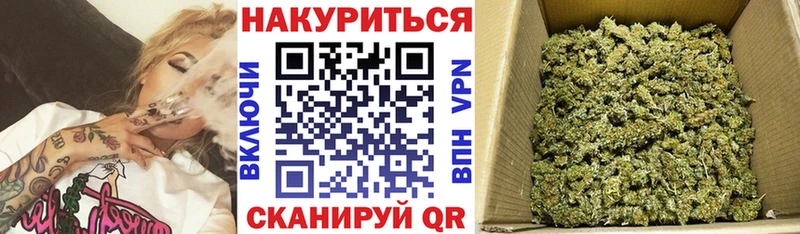 Бошки марихуана White Widow  Новотроицк 